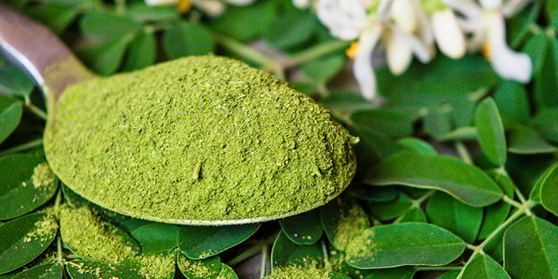 Ervaar wat moringa voor jou kan doen