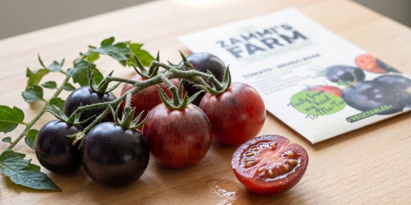 Indigo rose cherry tomato