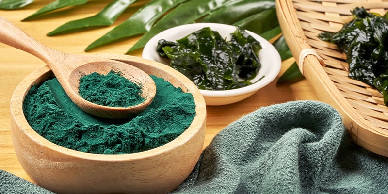 Spirulina: Een Oeroud Organisme