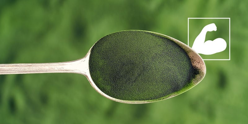 Wat Zijn De Voordelen Van Chlorella Voor Je Gezondheid?