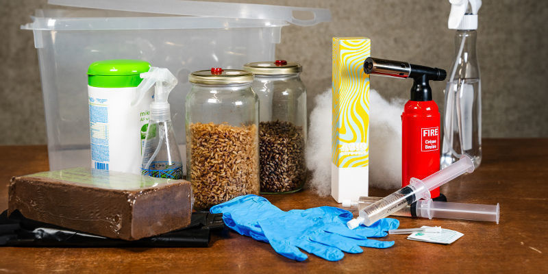 Hoe kweek je magic mushrooms in een monotub?