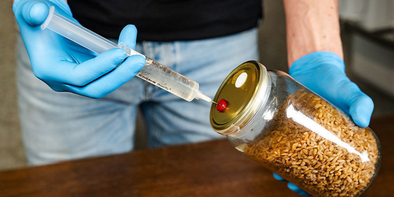 Maak een kweekmedium voor je monotub