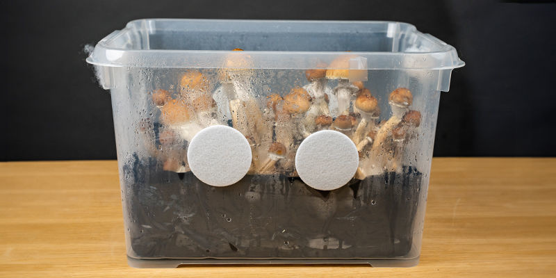 Wat is een monotub?