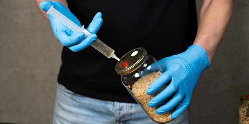 Haal de potten eruit en laat ze volledig afkoelen voordat je ze ent met een liquid culture spuit