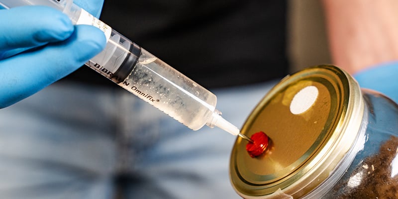 Ent de kit door de spuit via de injectiepoort in het medium te steken