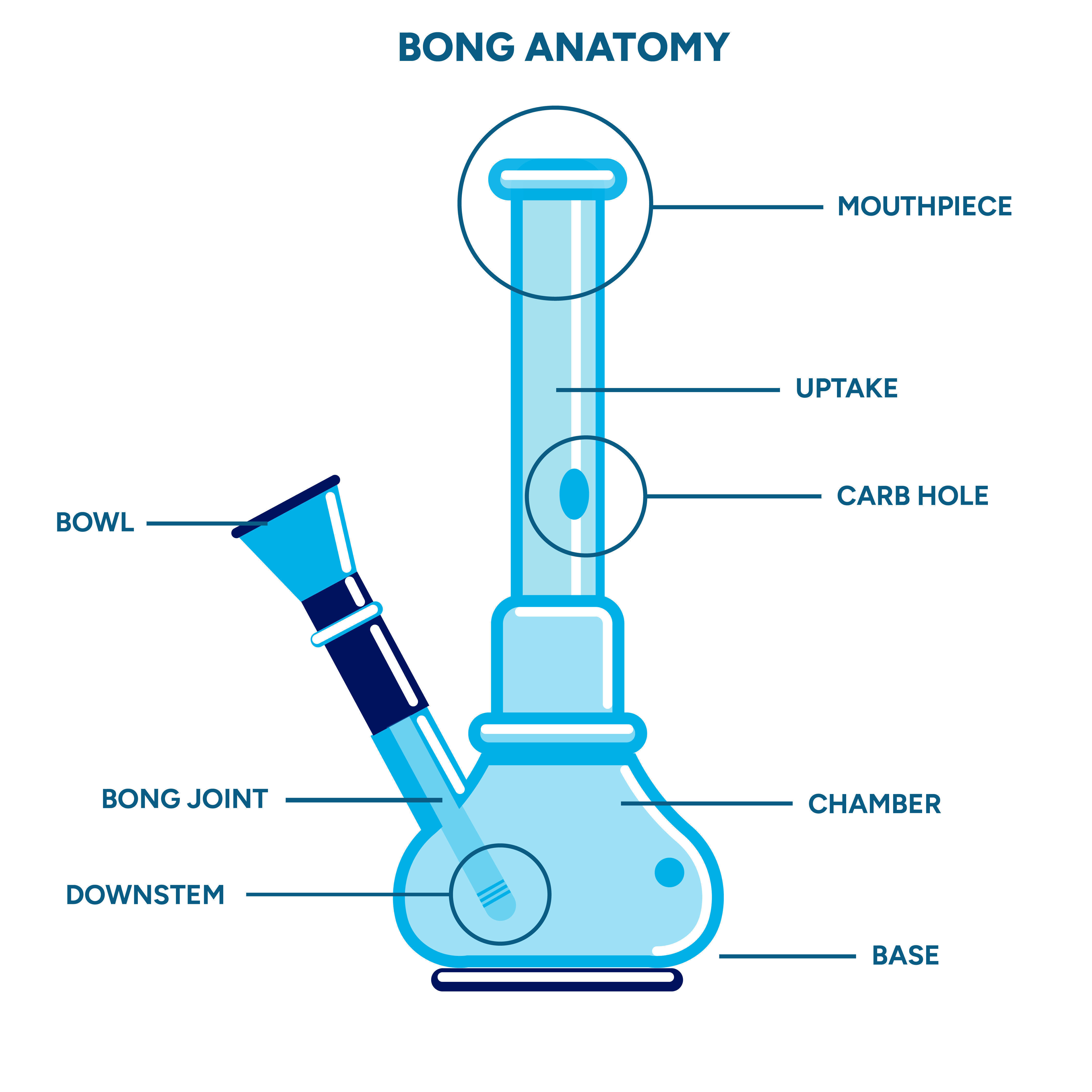 Anatomie Van Een Bong