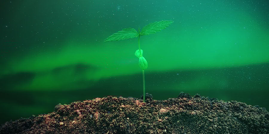 HOE KWEEK JE NORTHERN LIGHTS?