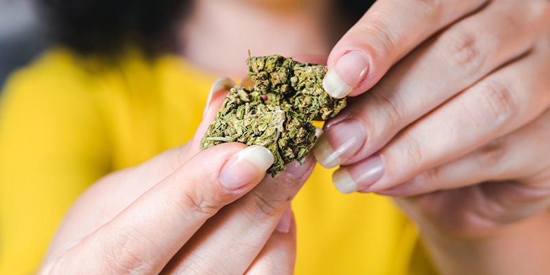 Is THCa-Rijke Wiet Legaal?