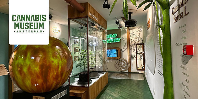 Cannabis Museum - Amsterdam