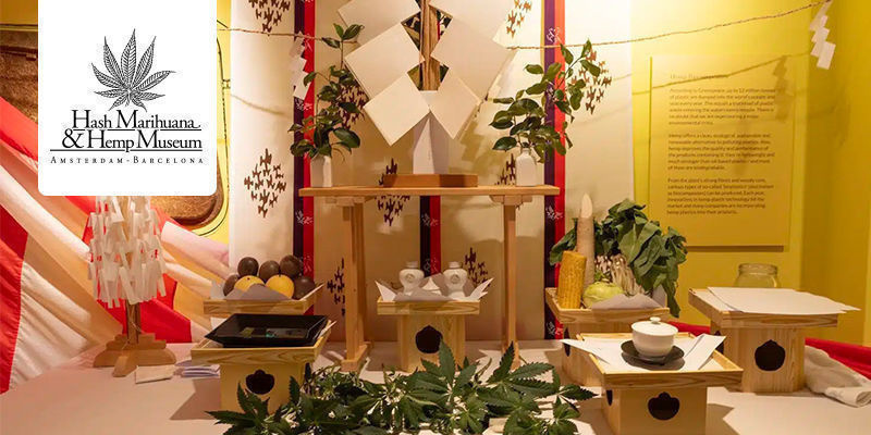Hash,Marihuana & Hemp Museum - Amsterdam/Barcelona