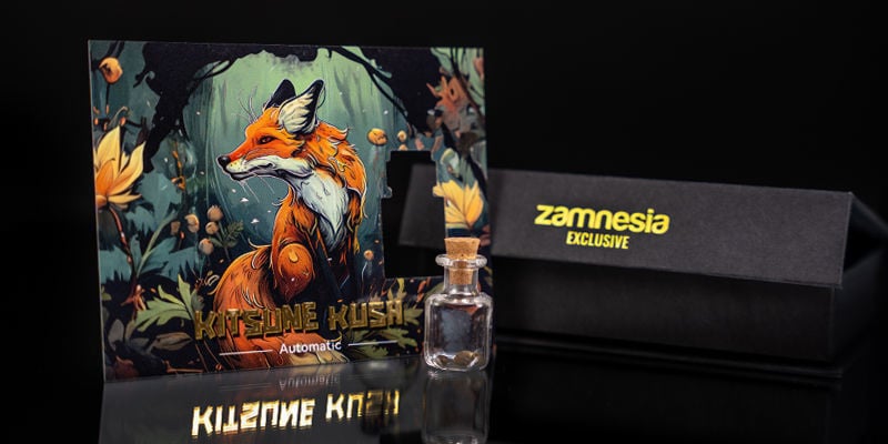 Rang 1 — Scouting Fox: Kitsune Kush Auto