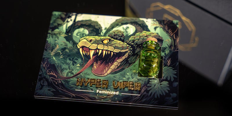 Rang 2 — Rising Cobra: Hyper Vyper