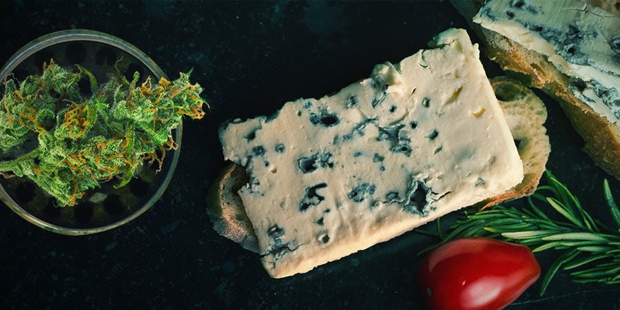 BLUE CHEESE: SMAAK EN EFFECTEN