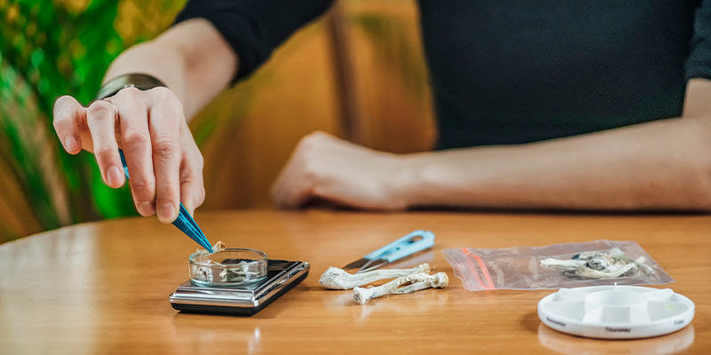 Hoe gebruik je paddo's voor biohacking