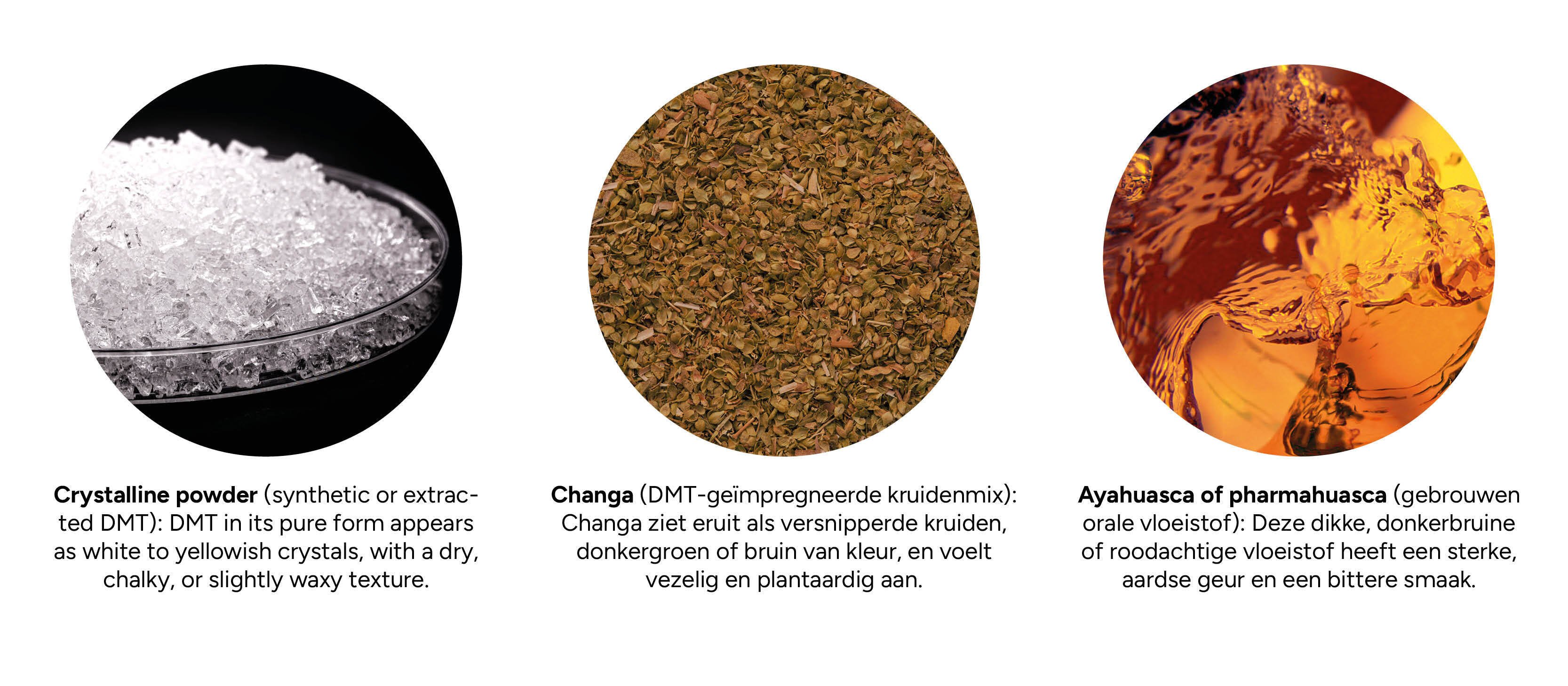 Hoe ziet DMT eruit?