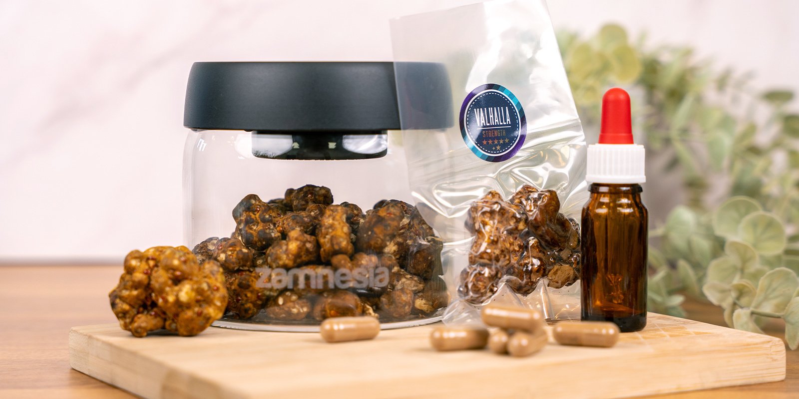 Truffles drogen voor verschillende toepassingen (capsules, tinctuur, etc.)