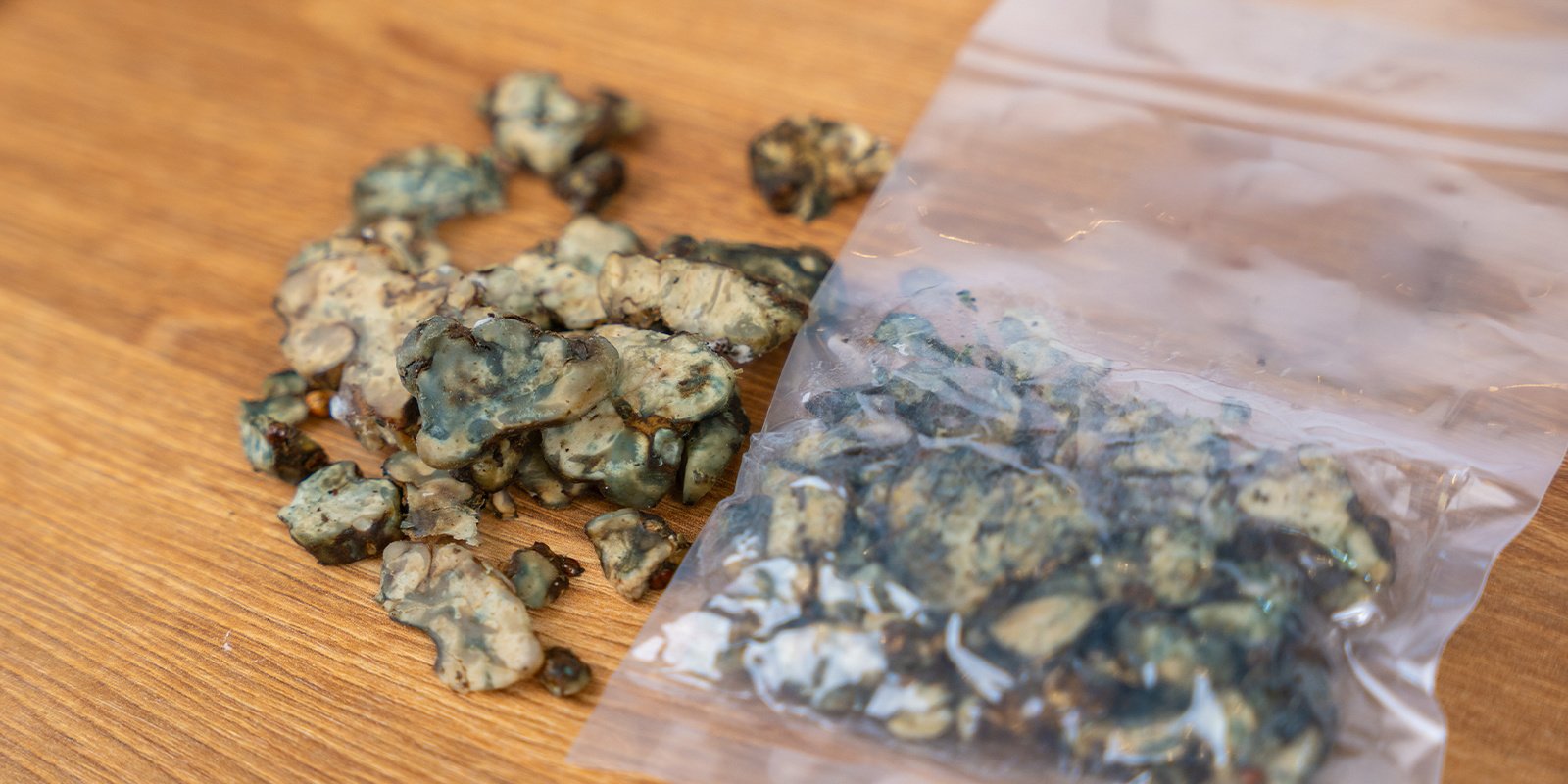 Hoe weet je of je magic truffles bedorven zijn?