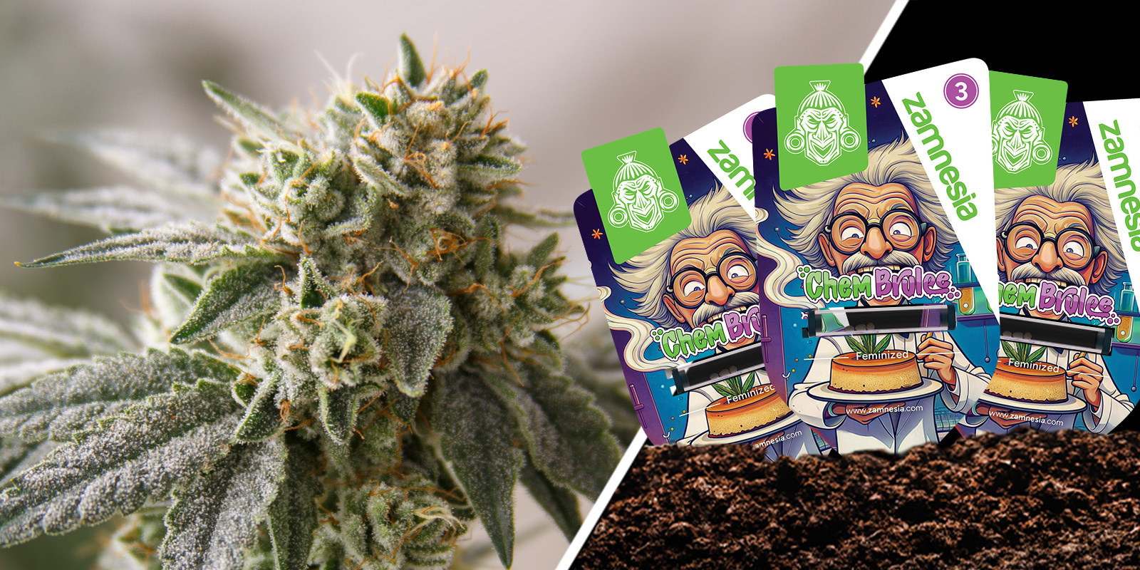 Chem Brulee: A sweet & sour uplift Chem Brulee: A sweet & sour uplift