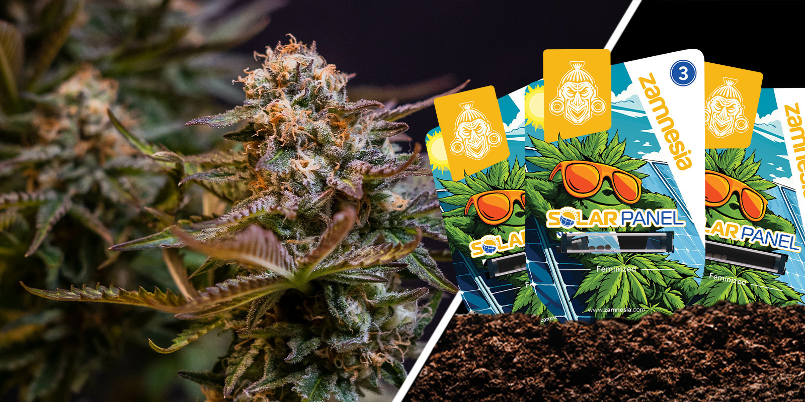 Solar Panel: zoete citrusenergie voor elk moment Solar Panel: zoete citrusenergie voor elk moment