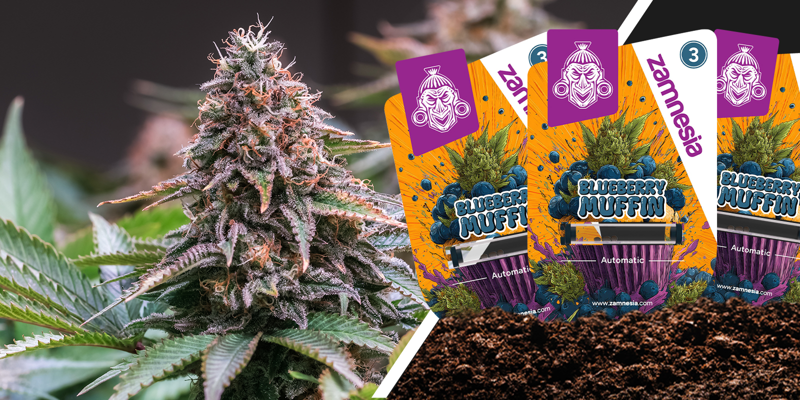 Blueberry Muffin: bessenzachtheid in elke kruimel