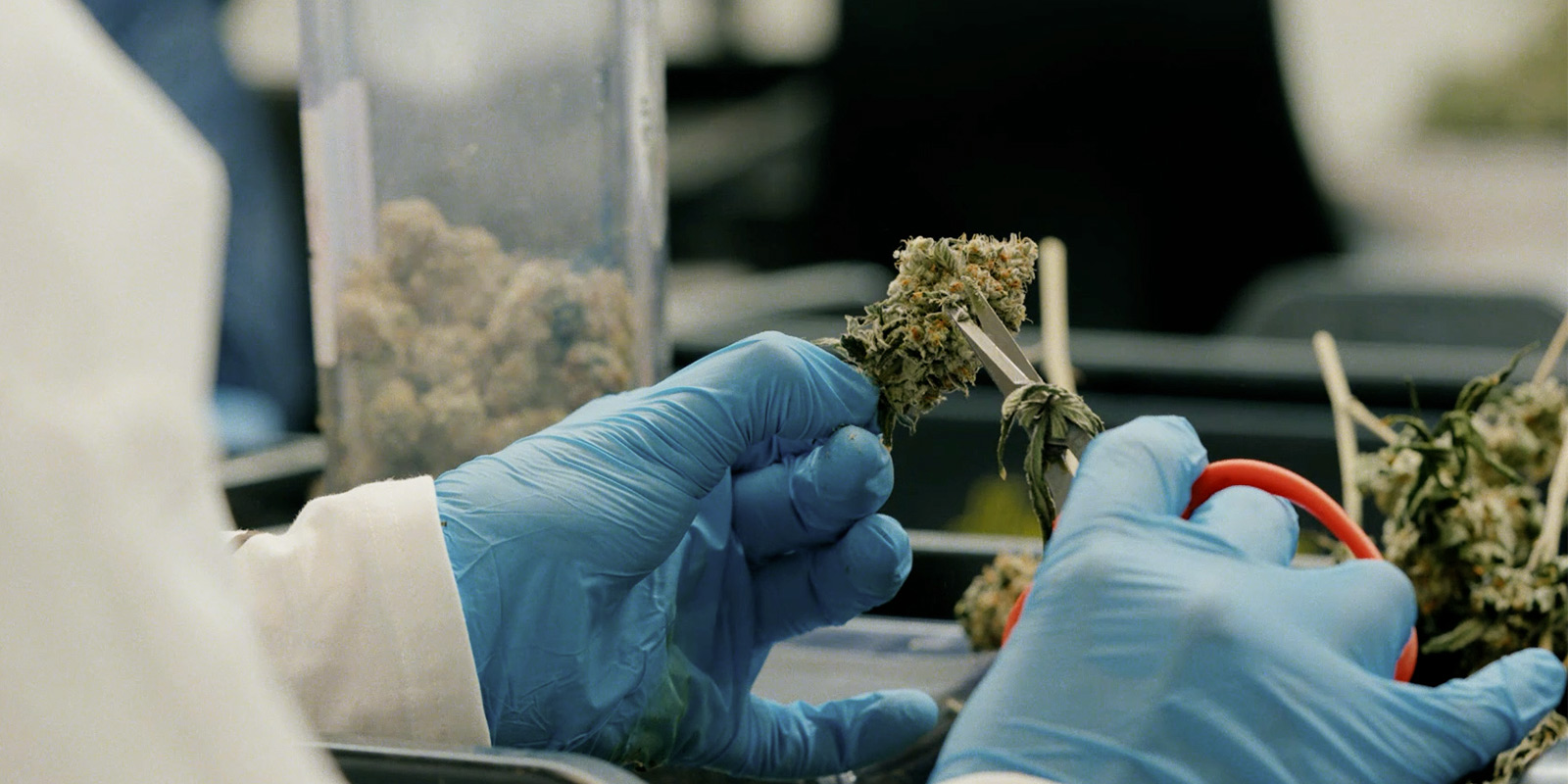 Impact op de community en de toekomst