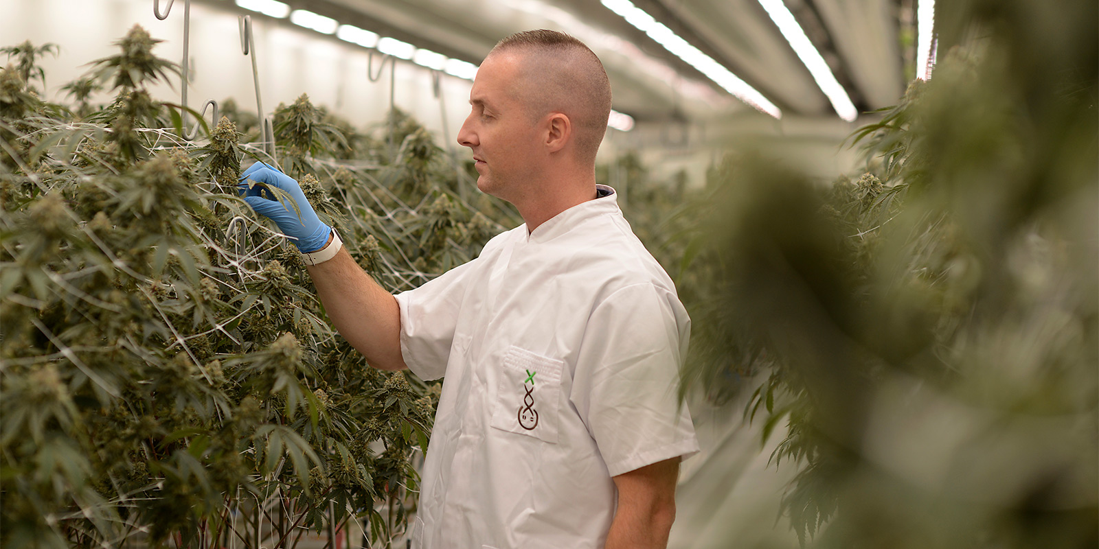 Je weg vinden in het huidige landschap van het experiment