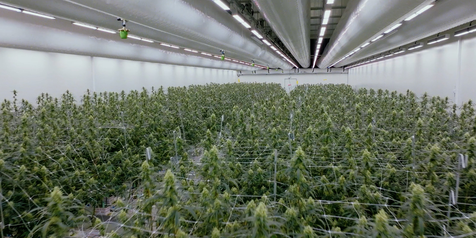 Visueel kijkje in de toekomst