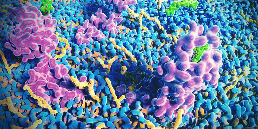 Het Endocannabinoïdesysteem Van De Huid HET ENDOCANNABINOÏDESYSTEEM VAN DE HUID