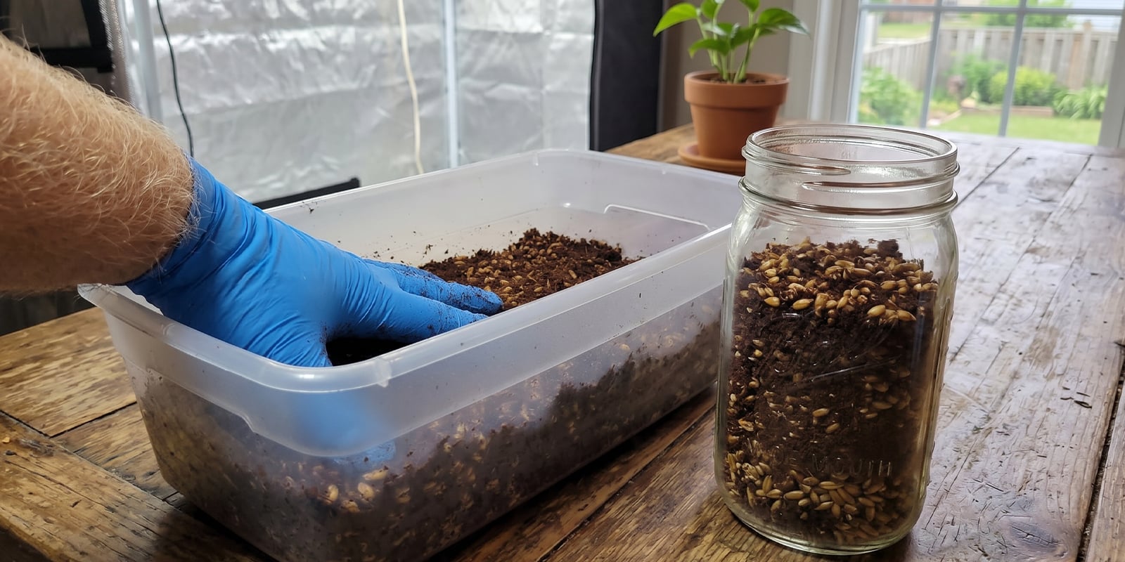 Shoebox Tek opzetten