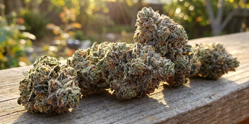Zoap (Barney's Farm) Zoap (Barney's Farm)