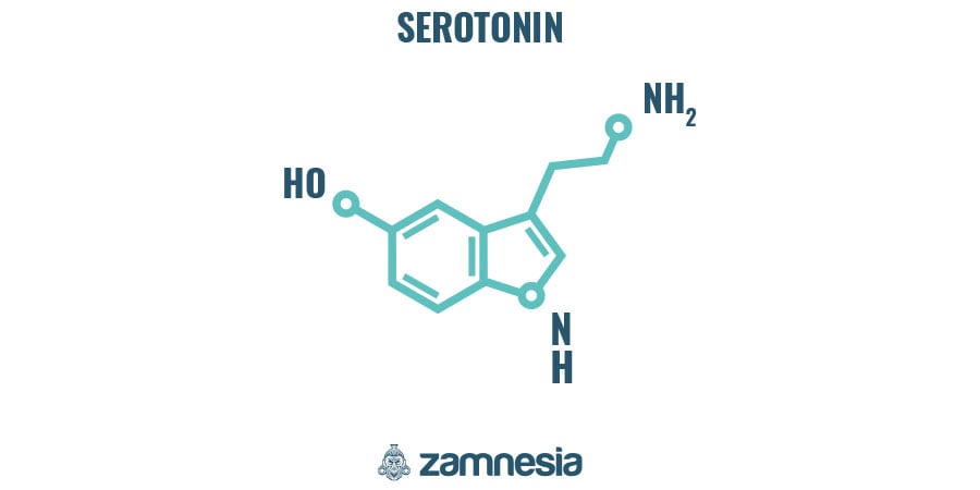 Hoe Werkt LSD?