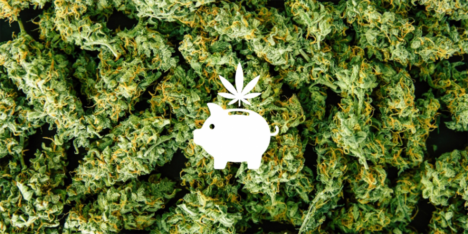 Reden #1: Op de lange termijn flink geld besparen Reden #1: Op de lange termijn flink geld besparen