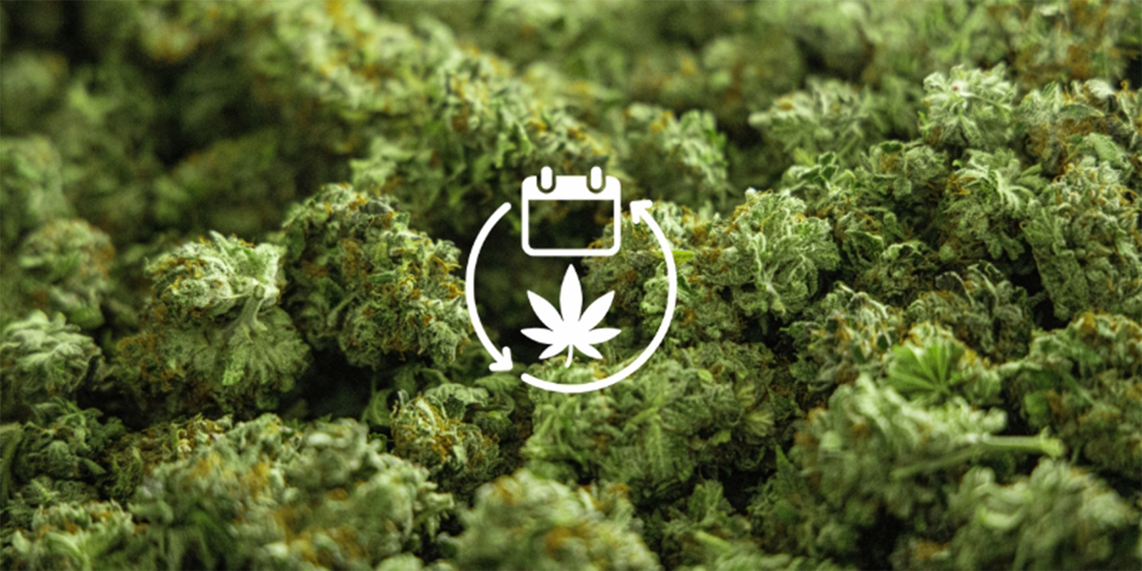 Reden #4: Jaarrond eigen voorraad Reden #4: Jaarrond eigen voorraad