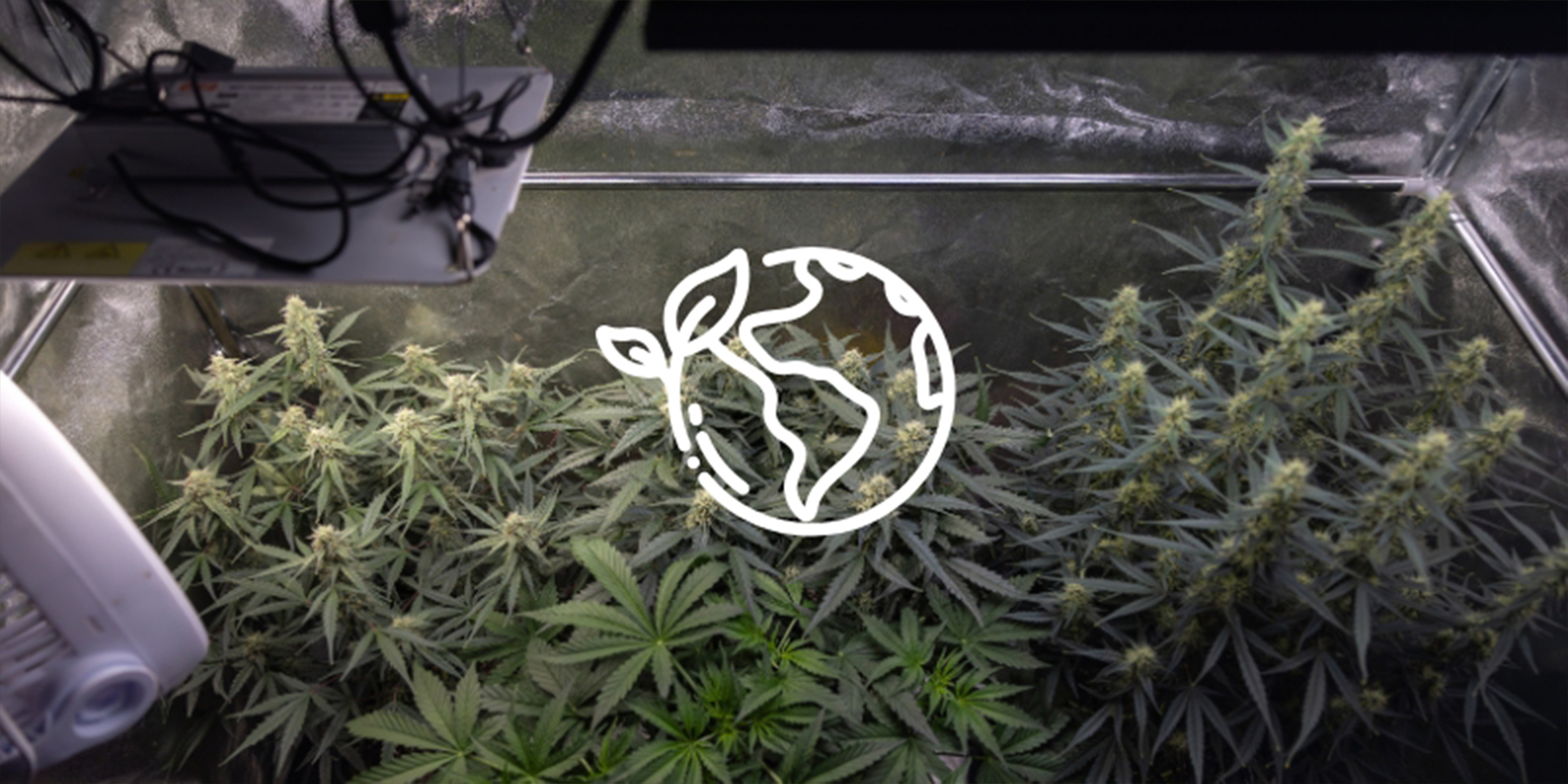 Reden #5: Het is duurzamer Reden #5: Het is duurzamer