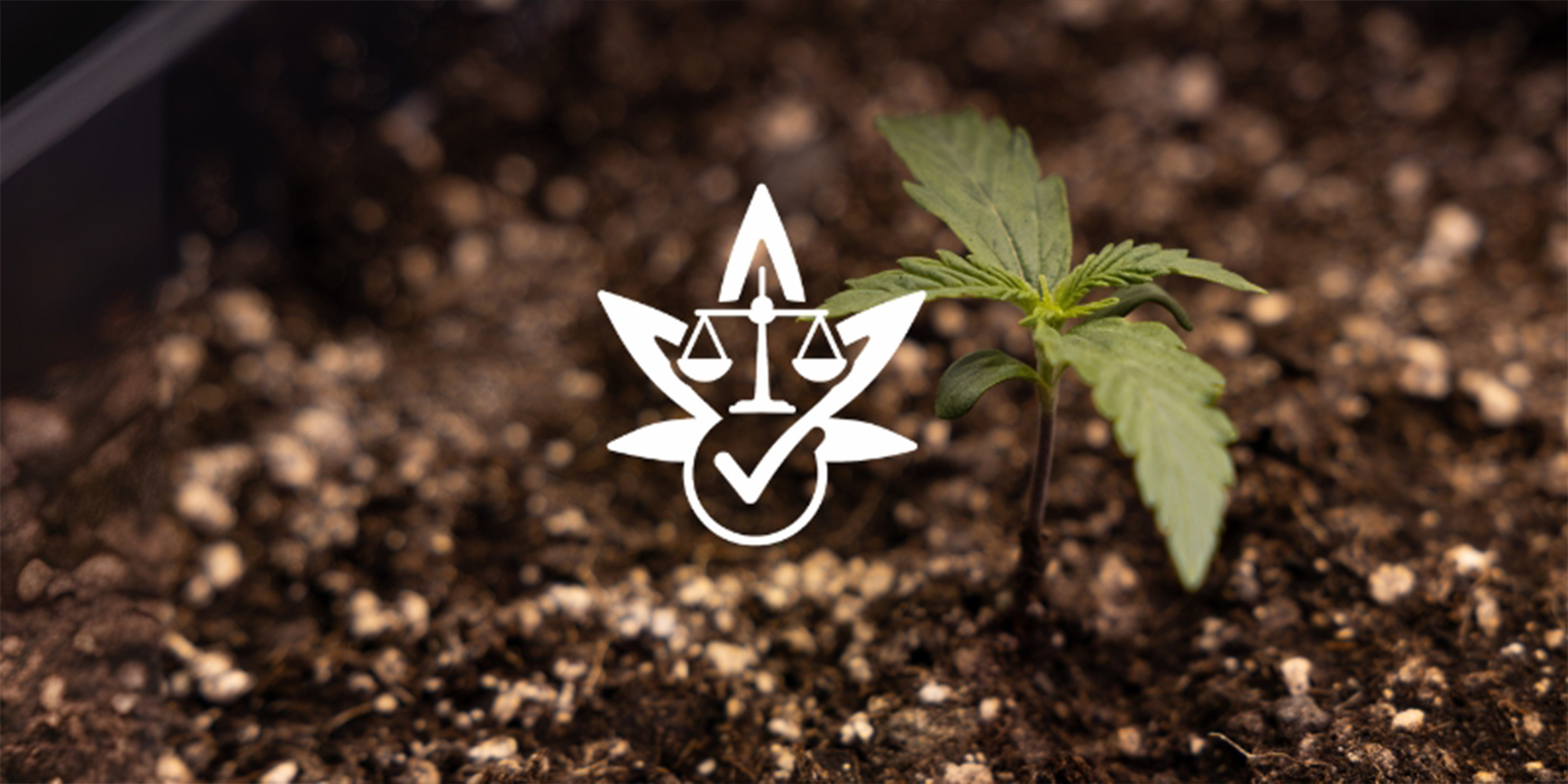 Reden #7: Legale vrijheid Reden #7: Legale vrijheid