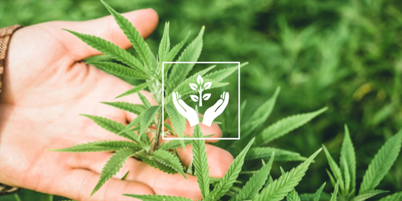 Reden #8: Therapeutisch en mindful Reden #8: Therapeutisch en mindful