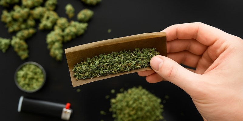 CBD-wiet (meest populair)