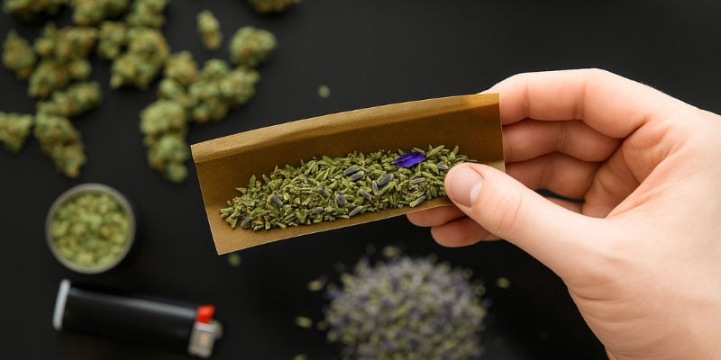 Lavendel