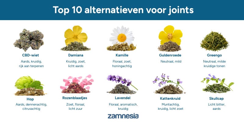 Top 10 tabaksvervangers voor joints