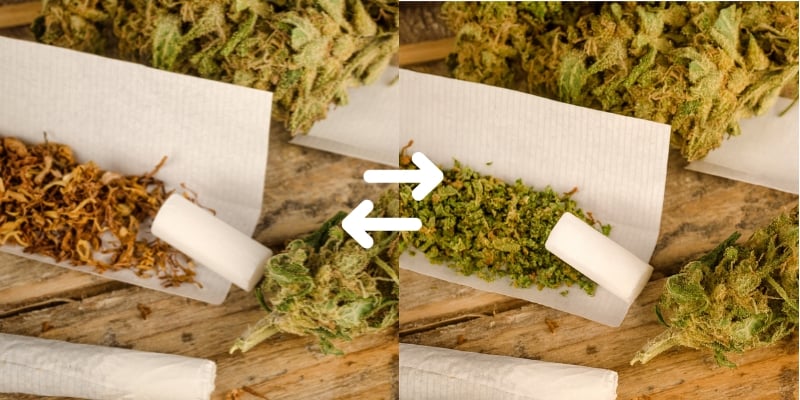 Why switch from tobacco in your spliffs?