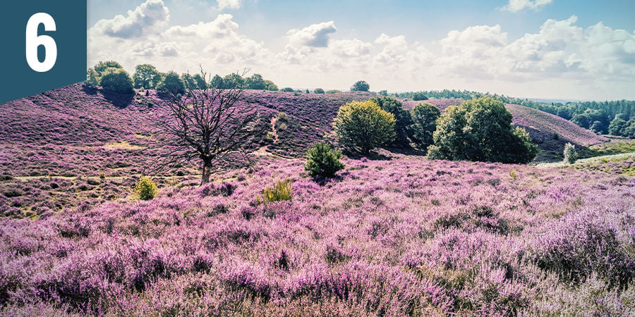 Verlies jezelf in een panoramisch uitzicht