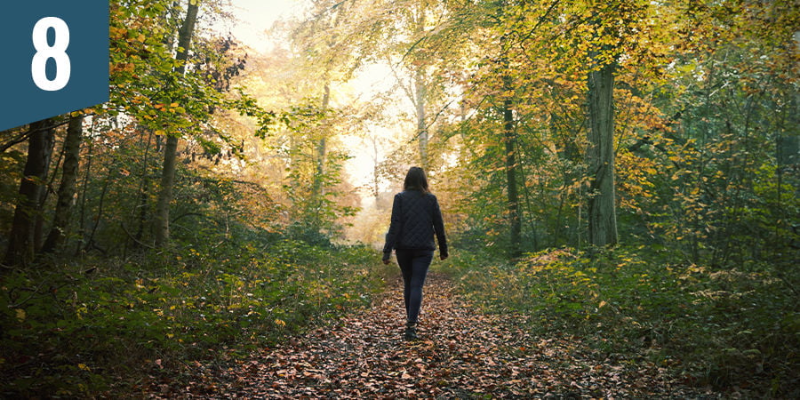 Dompel je onder in de natuur