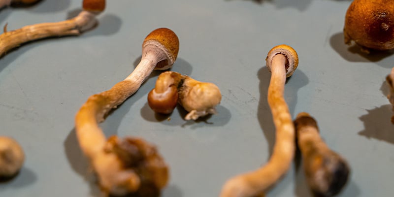 Omgaan met lastige ervaringen en bad trips