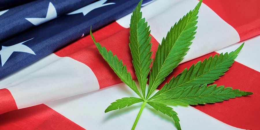 Hoe Groot Is De Cannabisindustrie In De Verenigde Staten?