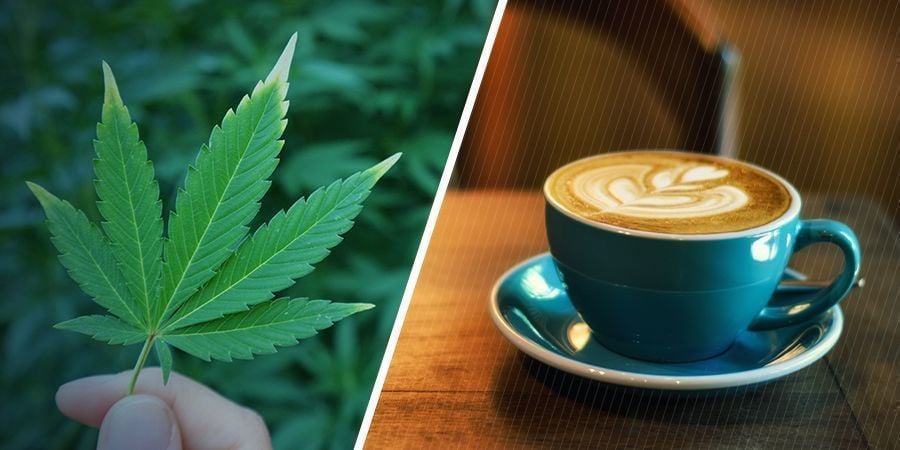 WAT ZIJN DE AFZONDERLIJKE EFFECTEN VAN MARIHUANA EN CAFEÏNE?