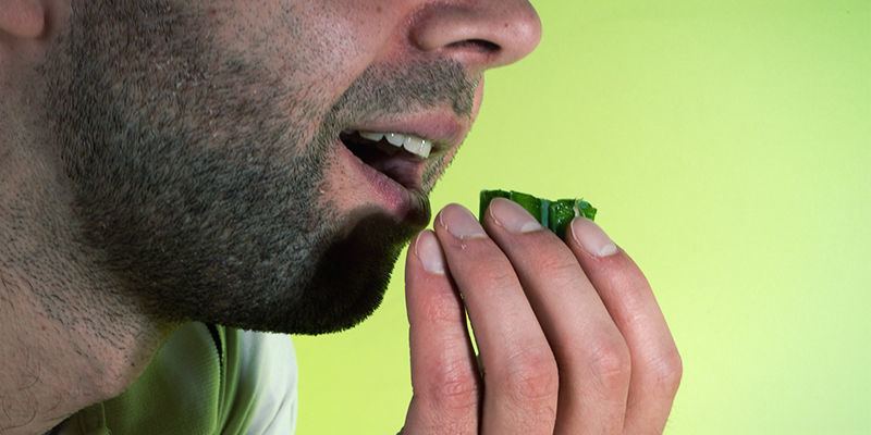 Hoe Je Alkaloïde Niveaus Kunt Testen In Een Mescaline Cactus