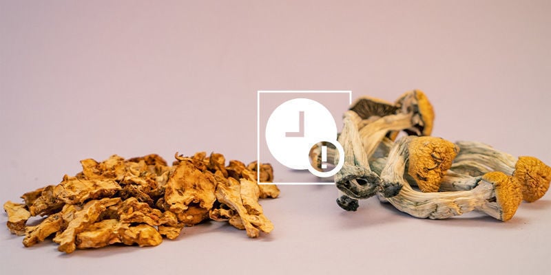 Hoe kun je magic mushrooms en magic truffels voor langere tijd bewaren?