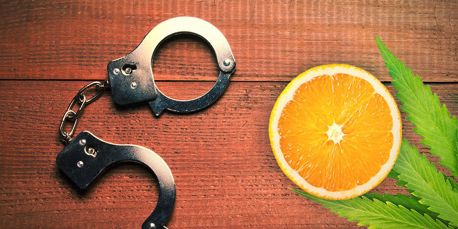 AGENT ORANGE: SMAKEN & EFFECTEN