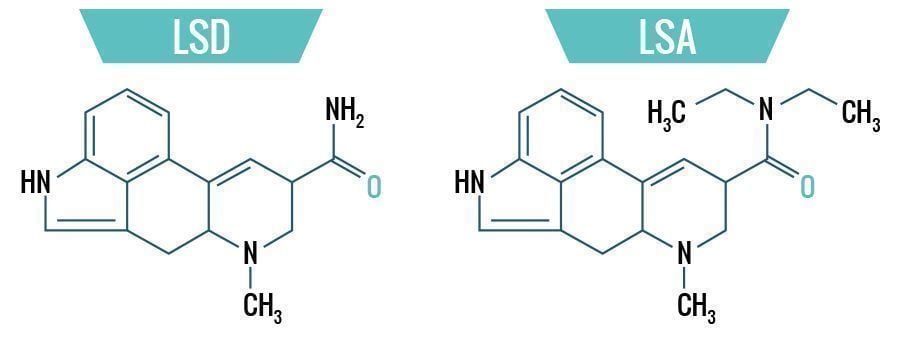 LSD & LSA