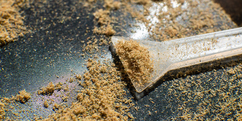 Wat Is Kief?